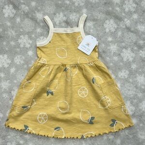 NWT Little Co. by Lauren Conrad.